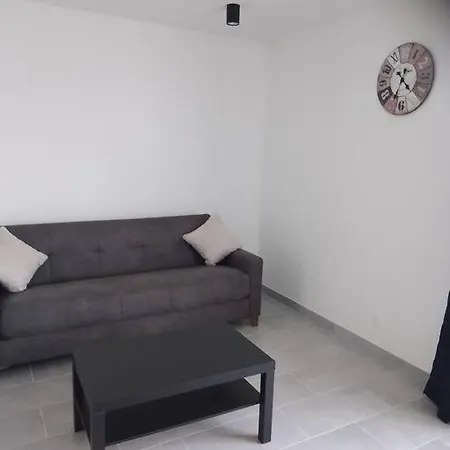 Appartement 2 T2 Neuf Et Elegant Proche Zenith Perignat-les-Sarlieve Exterior foto