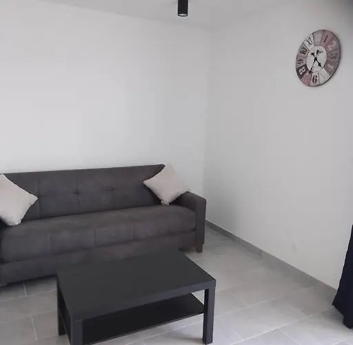 Appartement 2 T2 Neuf Et Elegant Proche Zenith
